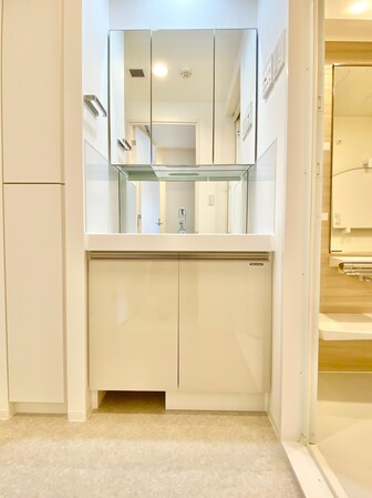 アジールコート品川中延サウスの物件内観写真